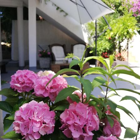 Apartments Poretti For 2,In Center Parking Free In The Yard,6 Min Beach Walk Rovinj Exterior foto