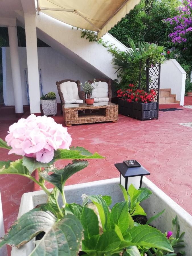 Apartments Poretti For 2,In Center Parking Free In The Yard,6 Min Beach Walk Rovinj Exterior foto