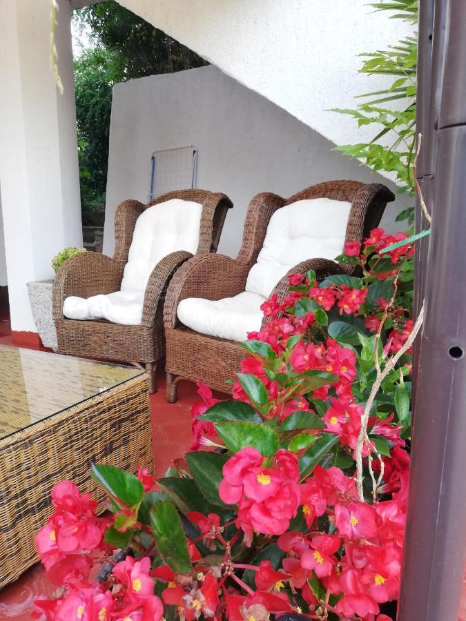 Apartments Poretti For 2,In Center Parking Free In The Yard,6 Min Beach Walk Rovinj Exterior foto