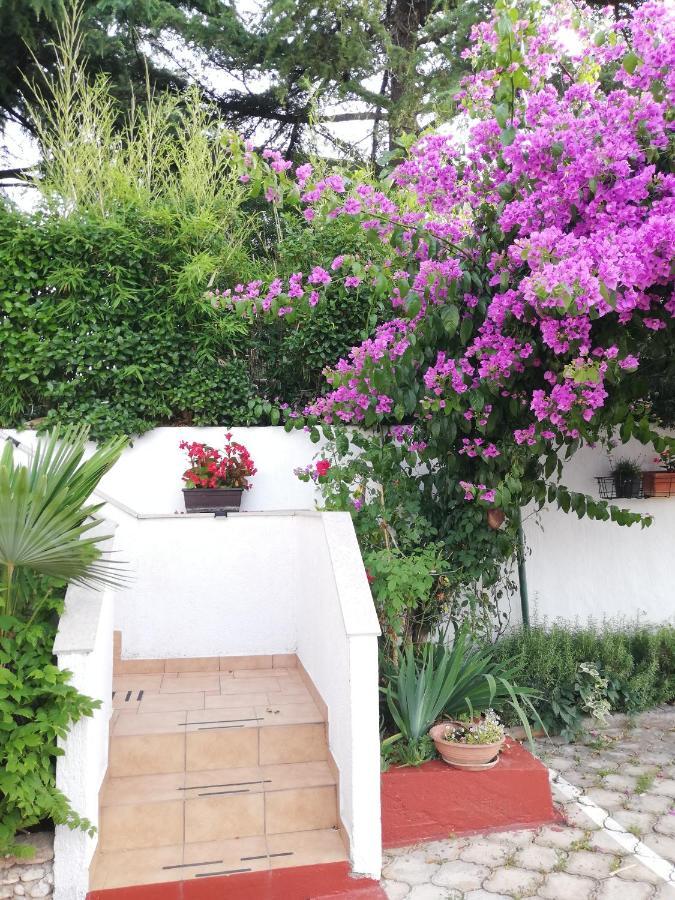 Apartments Poretti For 2,In Center Parking Free In The Yard,6 Min Beach Walk Rovinj Exterior foto