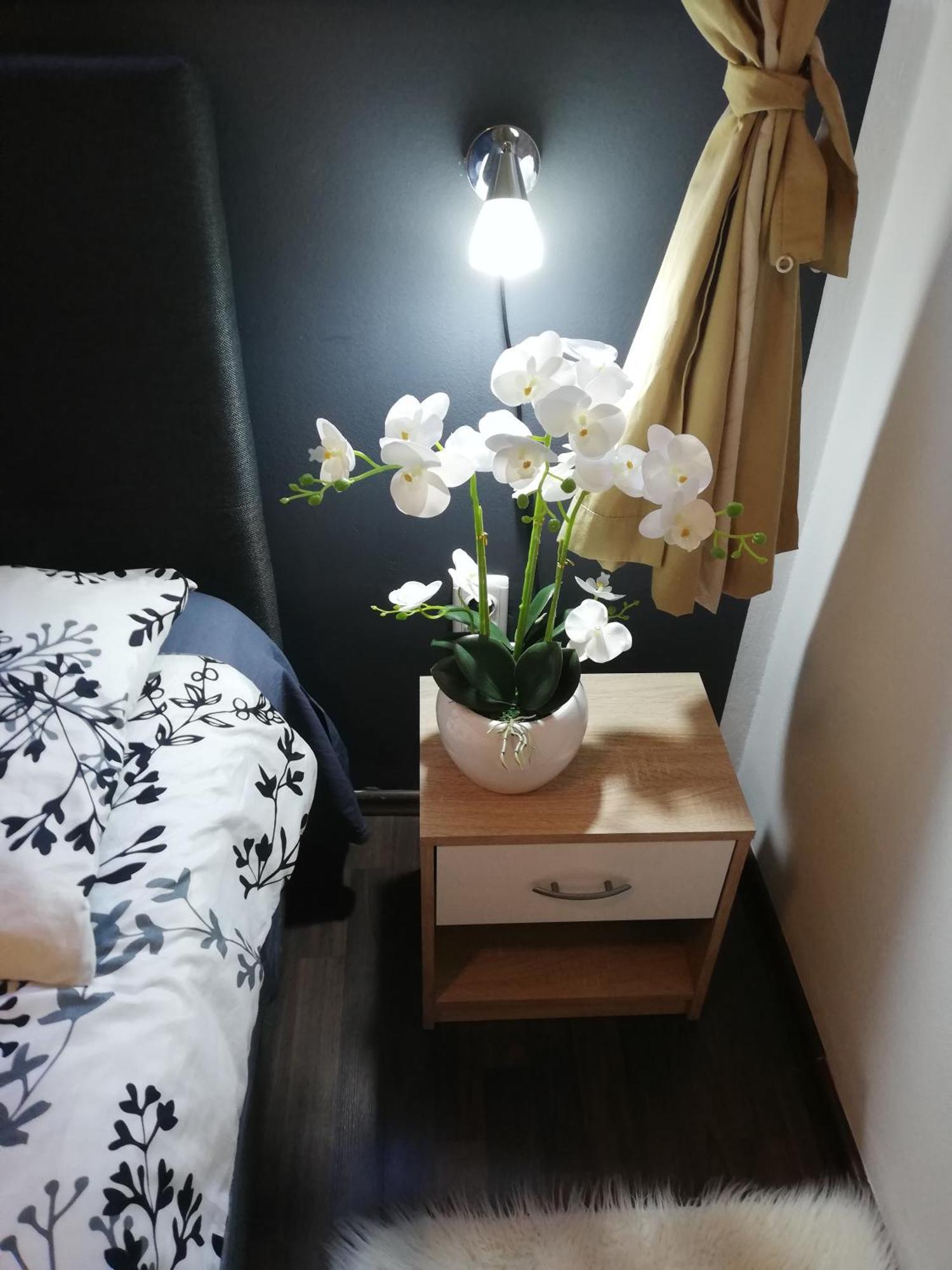 Apartments Poretti For 2,In Center Parking Free In The Yard,6 Min Beach Walk Rovinj Exterior foto