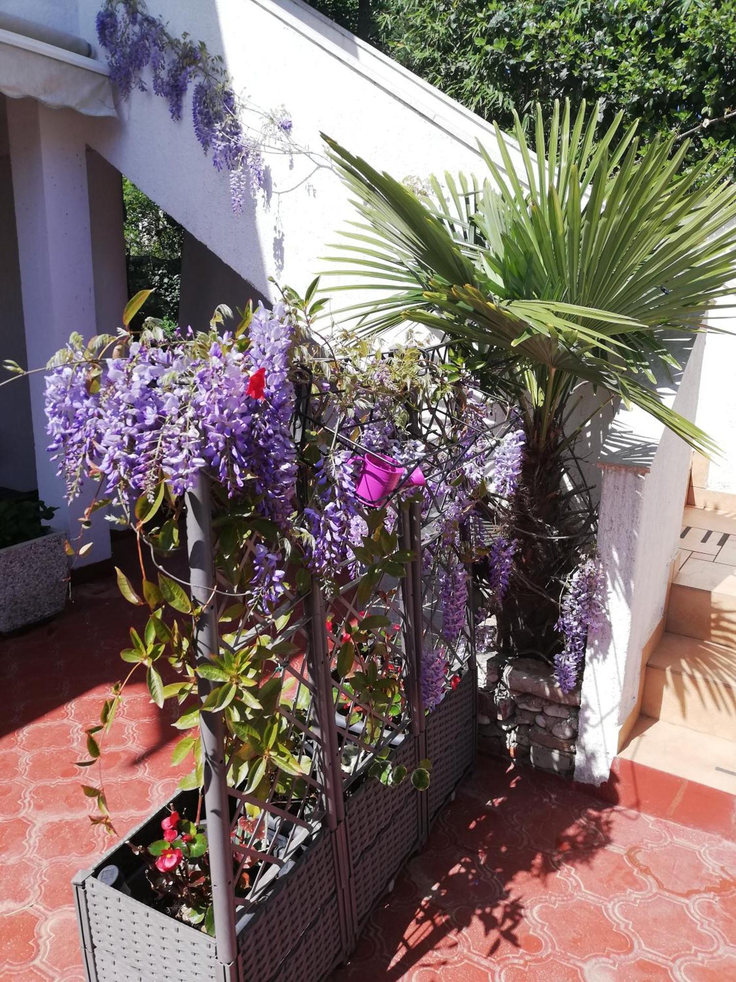 Apartments Poretti For 2,In Center Parking Free In The Yard,6 Min Beach Walk Rovinj Exterior foto