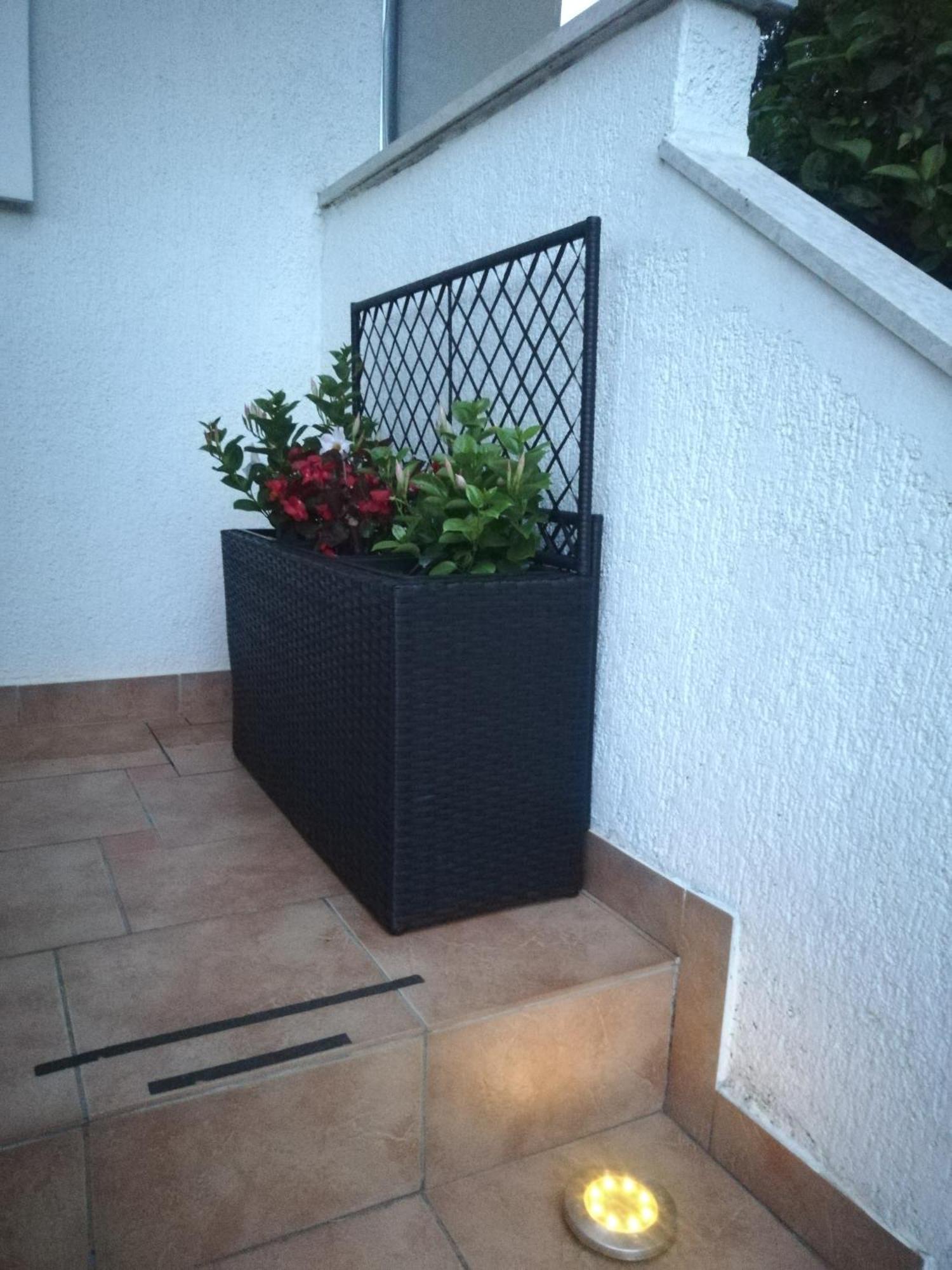 Apartments Poretti For 2,In Center Parking Free In The Yard,6 Min Beach Walk Rovinj Exterior foto