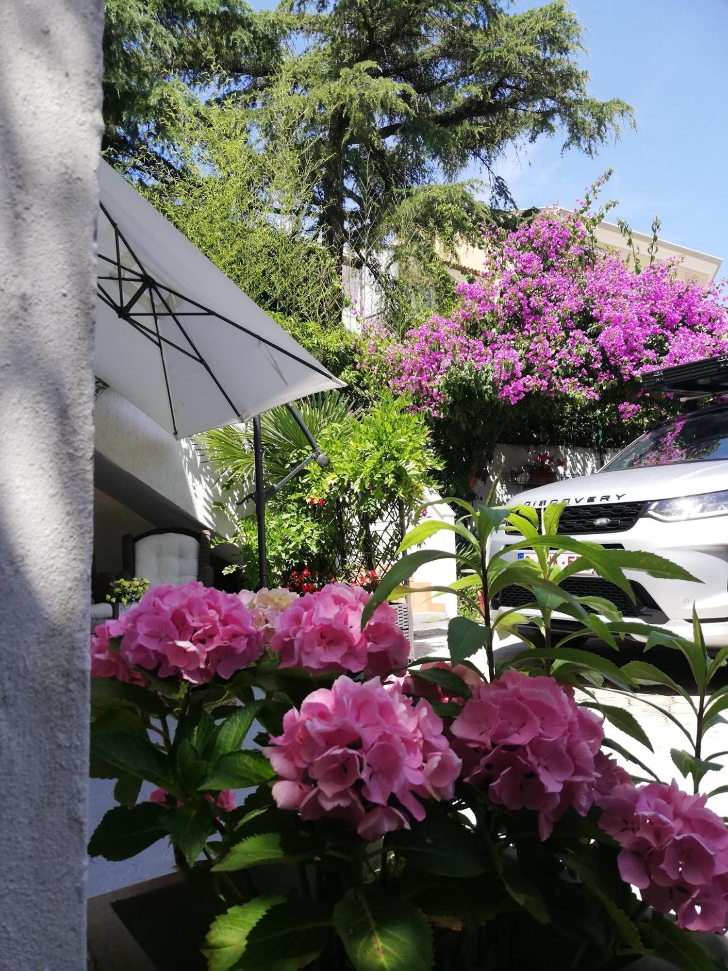 Apartments Poretti For 2,In Center Parking Free In The Yard,6 Min Beach Walk Rovinj Exterior foto