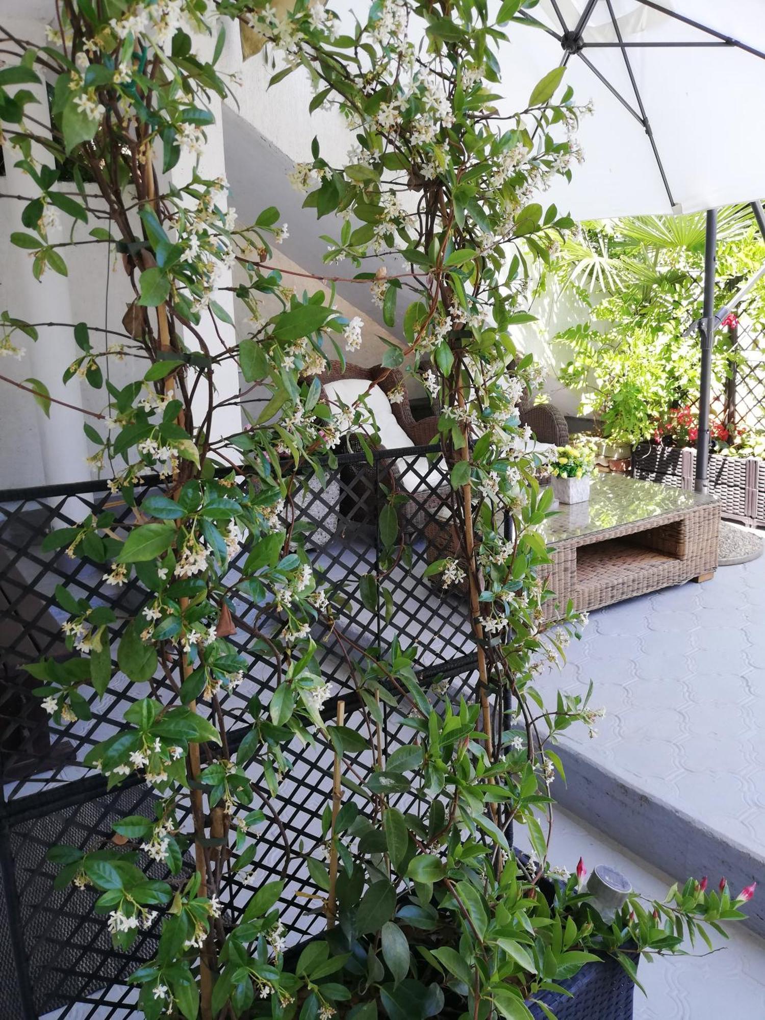 Apartments Poretti For 2,In Center Parking Free In The Yard,6 Min Beach Walk Rovinj Habitación foto